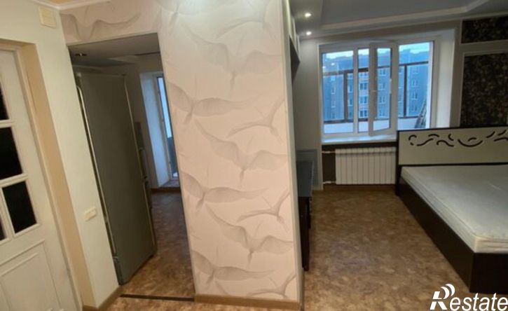 1-комн квартира ул Партизана Окинина, 14,  д. 14