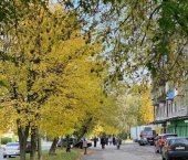 3-комн, 59кв м, этаж 2/5 улица Ленина, 157