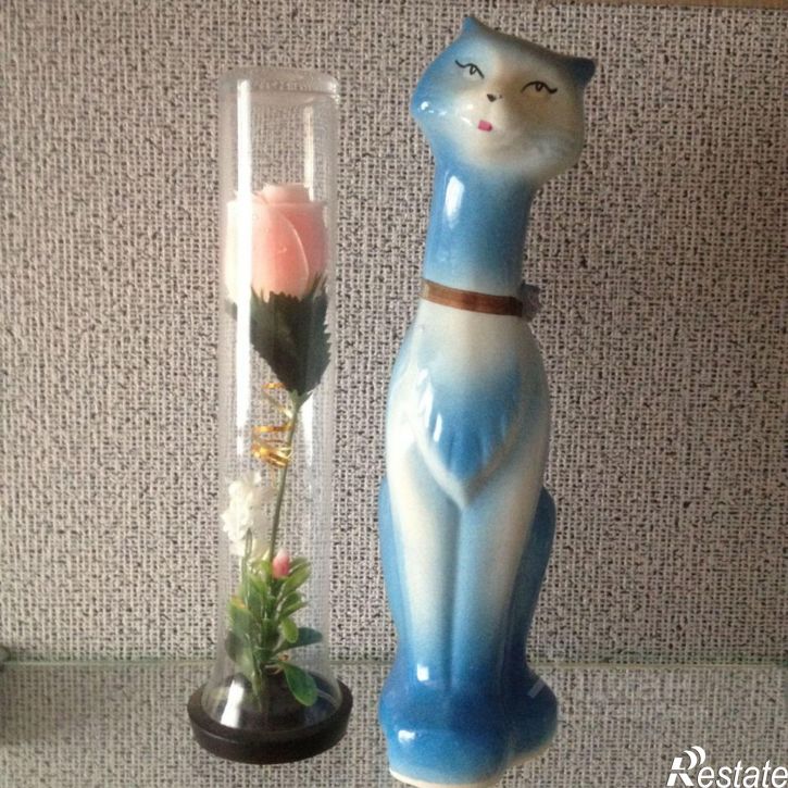 1-комн квартира Городецкая улица, 1А,  д. 1А