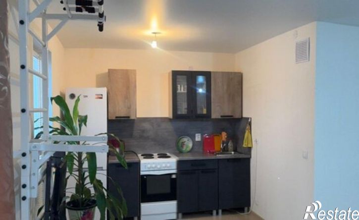 1-комн квартира Городецкая улица, 18,  д. 18