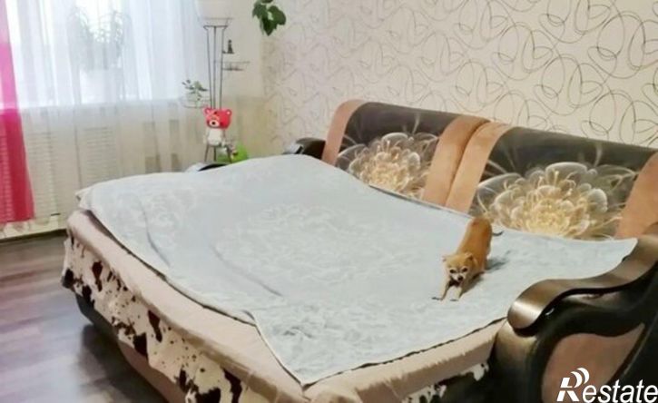 1-комн квартира ул Маяковского, 12,  д. 12