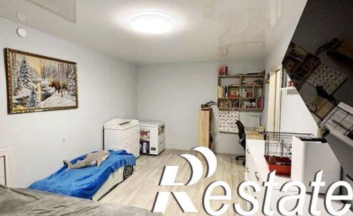 1-комн квартира улица Химиков, 24А,  д. 24А