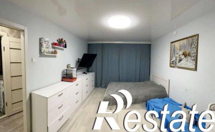 1-комн квартира улица Химиков, 24А,  д. 24А